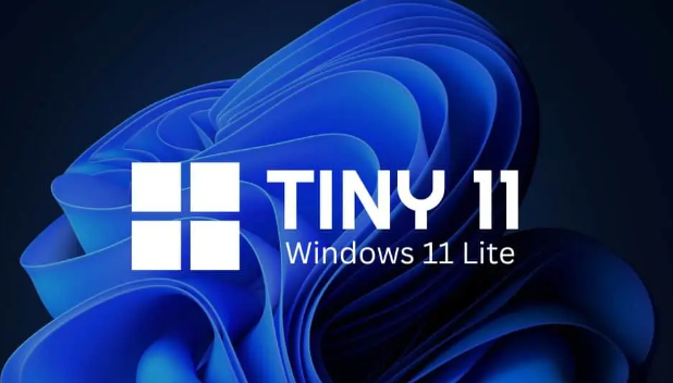 Download Tiny11 ISO for Windows 